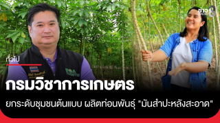 กรมวิชาการเกษตร ยกระดับชุมชนต้นแบบ ผลิตท่อนพันธุ์ "มันสำปะหลังสะอาด" 