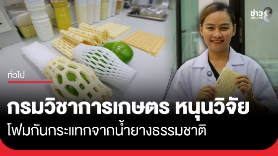 กรมวิชาการเกษตรหนุนวิจัย "โฟมกันกระแทกจากน้ำยางธรรมชาติ"