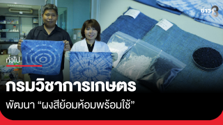 กรมวิชาการเกษตร พัฒนา "ผงสีย้อมห้อมพร้อมใช้" ต่อยอดผ้าหม้อห้อมไทย