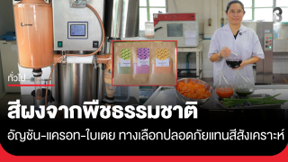 กรมวิชาการเกษตร ปั้น "สีผงจากพืชธรรมชาติ" อัญชัน-แครอท-ใบเตย ทางเลือกปลอดภัยแทนสีสังเคราะห์