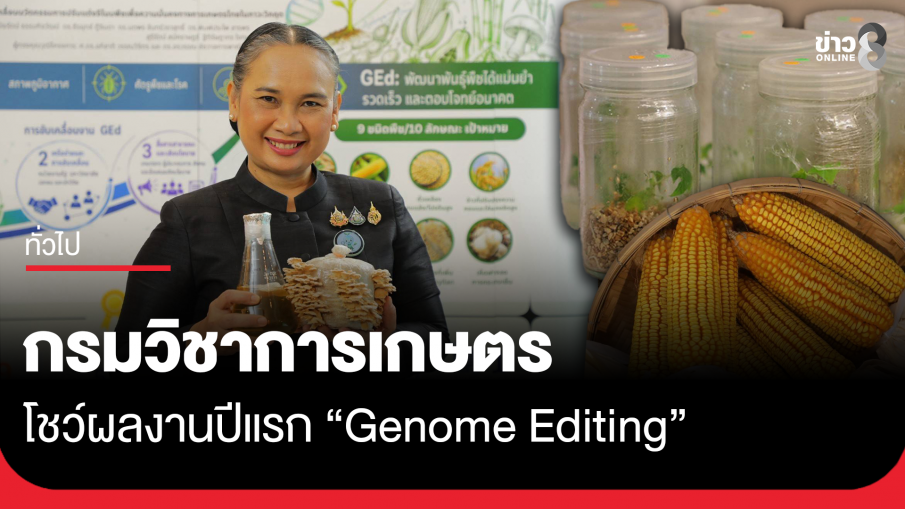 กรมวิชาการเกษตร โชว์ผลงานปีแรก "Genome Editing" เดินหน้าพัฒนาพันธุ์พืชเศรษฐกิจ