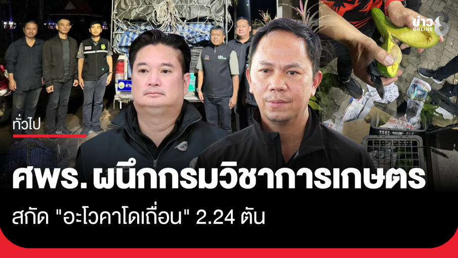 ศพร. ผนึกกรมวิชาการเกษตร สกัด "อะโวคาโดเถื่อน" 2.24 ตัน