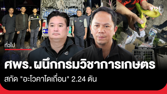 ศพร. ผนึกกรมวิชาการเกษตร สกัด "อะโวคาโดเถื่อน" 2.24 ตัน