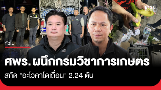 ศพร. ผนึกกรมวิชาการเกษตร สกัด "อะโวคาโดเถื่อน" 2.24...