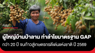 ผู้ใหญ่บ้านป่าลาน เดินหน้าทำลำไยมาตรฐาน GAP กว่า 20 ปี ก้าวสู่เกษตรกรดีเด่นแห่งชาติ ปี 2569