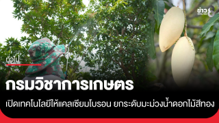 กรมวิชาการเกษตร เปิดเทคโนโลยีให้แคลเซียมโบรอน...