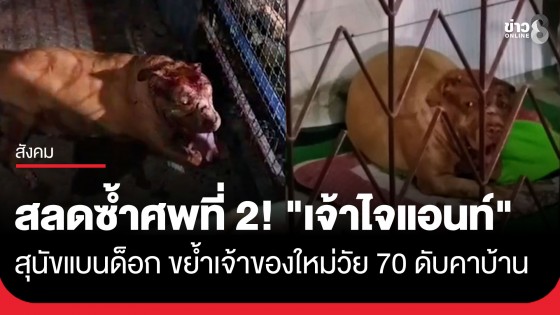 สลดซ้ำศพที่ 2 ! "เจ้าไจแอนท์" สุนัขแบนด็อก ขย้ำเจ้าของใหม่วัย 70 ดับ คาบ้านย่านนวมินทร์