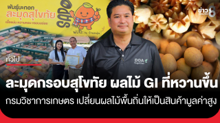 ละมุดกรอบสุโขทัย : ผลไม้ GI ที่หวานขึ้นเพราะวิชาการ โดยกรมวิชาการเกษตร ที่บอกเล่าเรื่องราว ว่าด้วยการเปลี่ยนผลไม้พื้นถิ่นให้เป็นสินค้ามูลค่าสูง