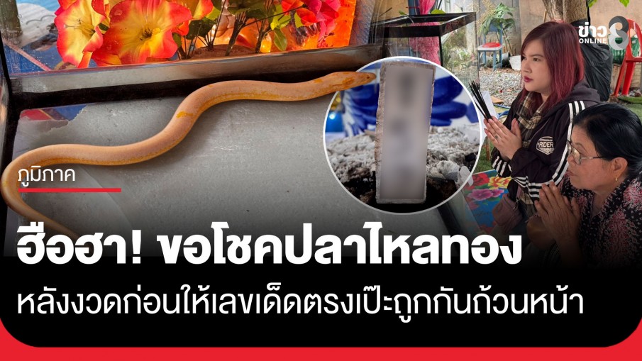ฮือฮา! ชาวบ้านแห่ขอโชค "ปลาไหลสีทอง" วัดธารอุทุมพร หลังงวดก่อนให้เลขเด็ดตรงเป๊ะถูกกันถ้วนหน้า