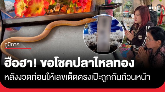 ฮือฮา! ชาวบ้านแห่ขอโชค "ปลาไหลสีทอง" วัดธารอุทุมพร หลังงวดก่อนให้เลขเด็ดตรงเป๊ะถูกกันถ้วนหน้า
