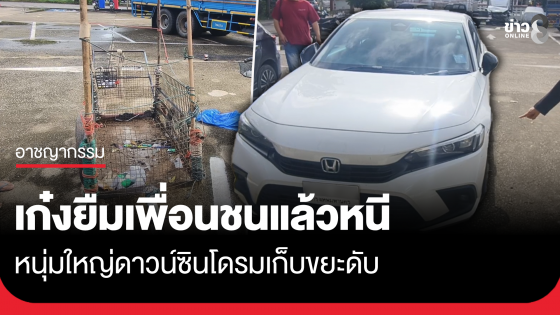 เก๋งยืมเพื่อน ขับชนหนุ่มใหญ่ดาวน์ซินโดรมเก็บขยะดับแล้วหนี