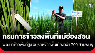 กรมการข้าวลงพื้นที่แม่ฮ่องสอน เดินหน้าพัฒนาข้าวพื้นที่สูง อนุรักษ์พันธุ์ข้าวพื้นเมืองกว่า...