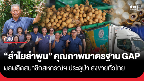 "ลำไยลำพูน" ลำไยคุณภาพมาตรฐาน GAP ผลผลิตสมาชิกสหกรณ์ฯ ประตูป่า ส่งขายทั่วไทย