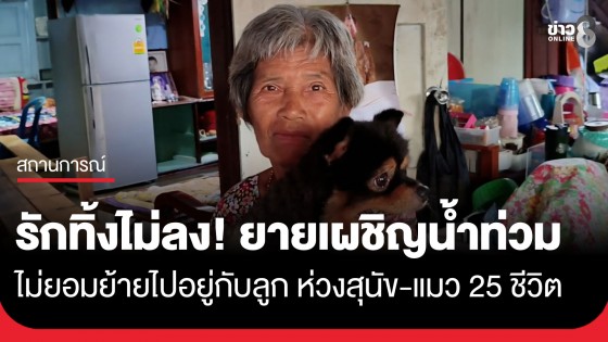 รักเขา ทิ้งไม่ลง! ยายวัย 74 ปี เผชิญน้ำท่วมปากเกร็ด ไม่ยอมย้ายไปอยู่กับลูก ห่วงสุนัข-แมว 25 ชีวิต