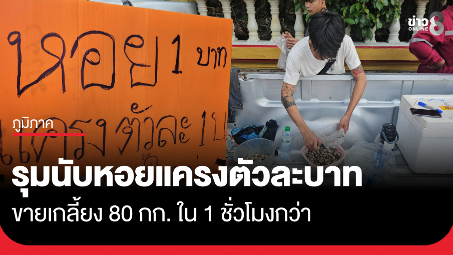 รุมนับหอยแครงตัวละบาท 80 กก.ขายเกลี้ยงใน 1 ชั่วโมงกว่า