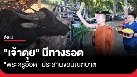 คุณพระช่วย! "พระครูอ๊อด" ขอบิณฑบาต ไถ่ชีวิต "เจ้าดุย" ควายขวิดเจ้าของดับ